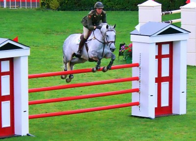 show jumping and horse racing timing